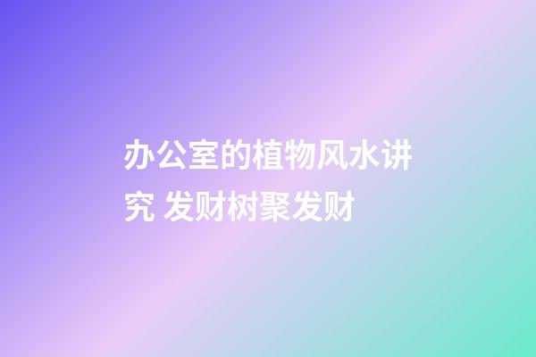 办公室的植物风水讲究 发财树聚发财